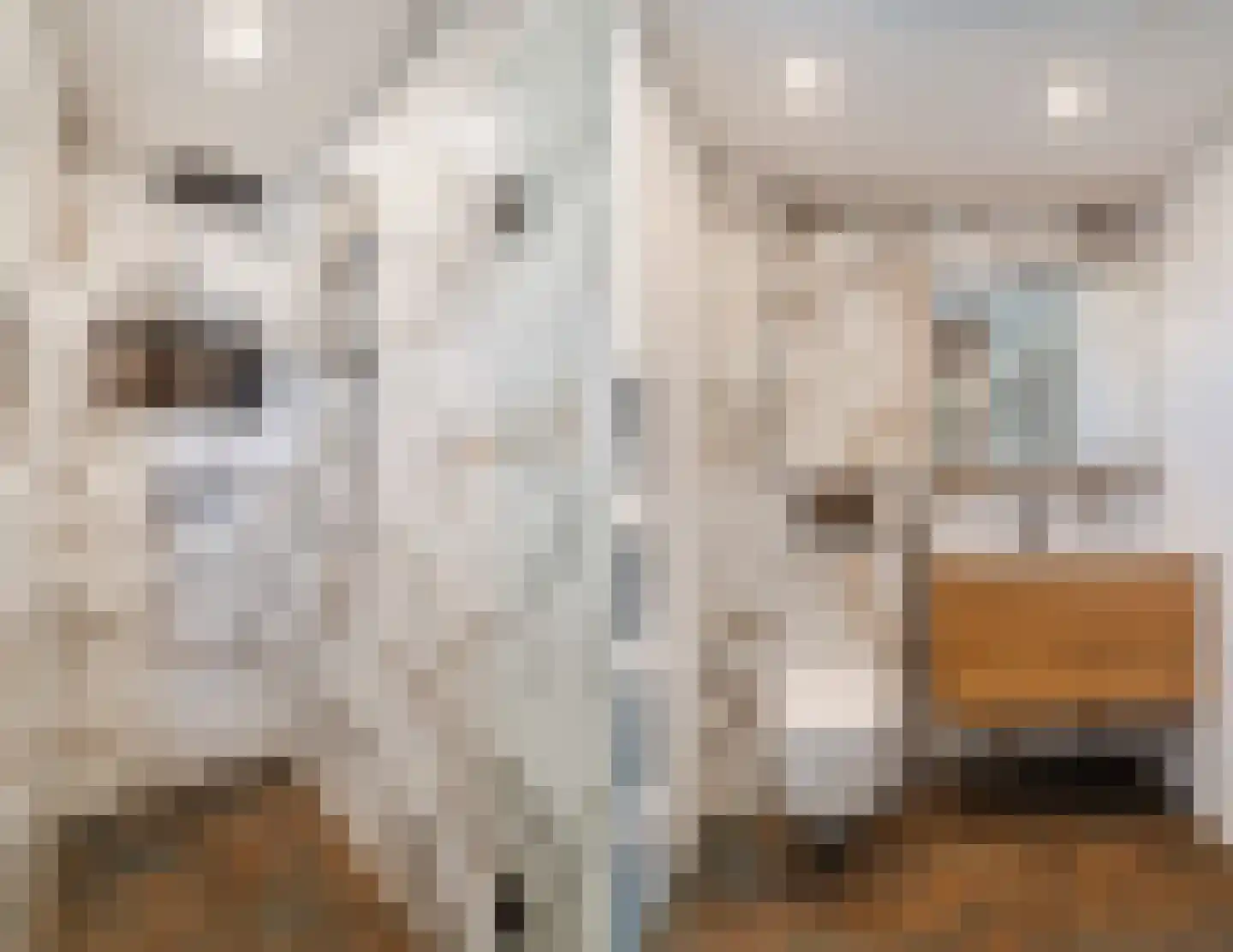 Haverkamp 11 Scherpenzeel thumbnail 19