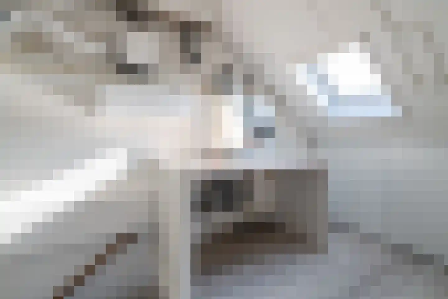 Haverkamp 11 Scherpenzeel thumbnail 25