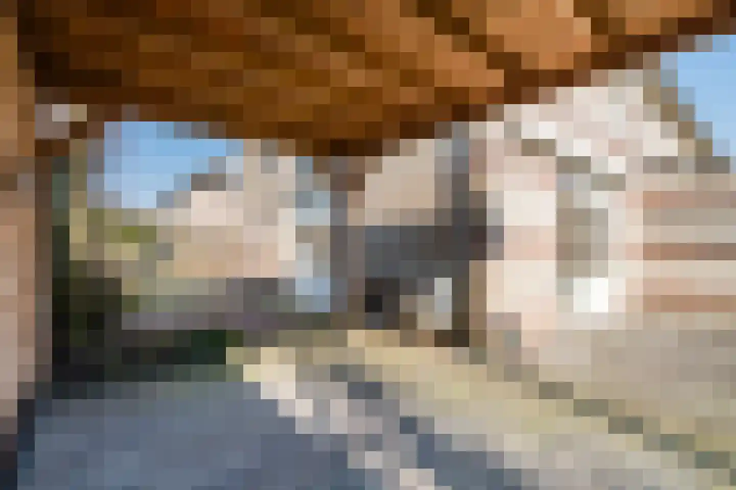 Haverkamp 11 Scherpenzeel thumbnail 31