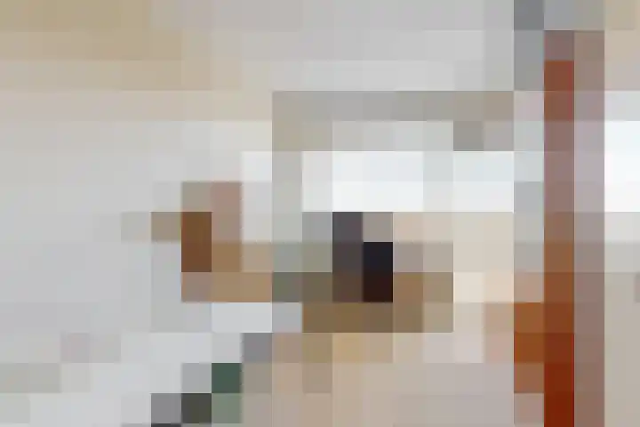 Haverkamp 118 Den Haag thumbnail 12