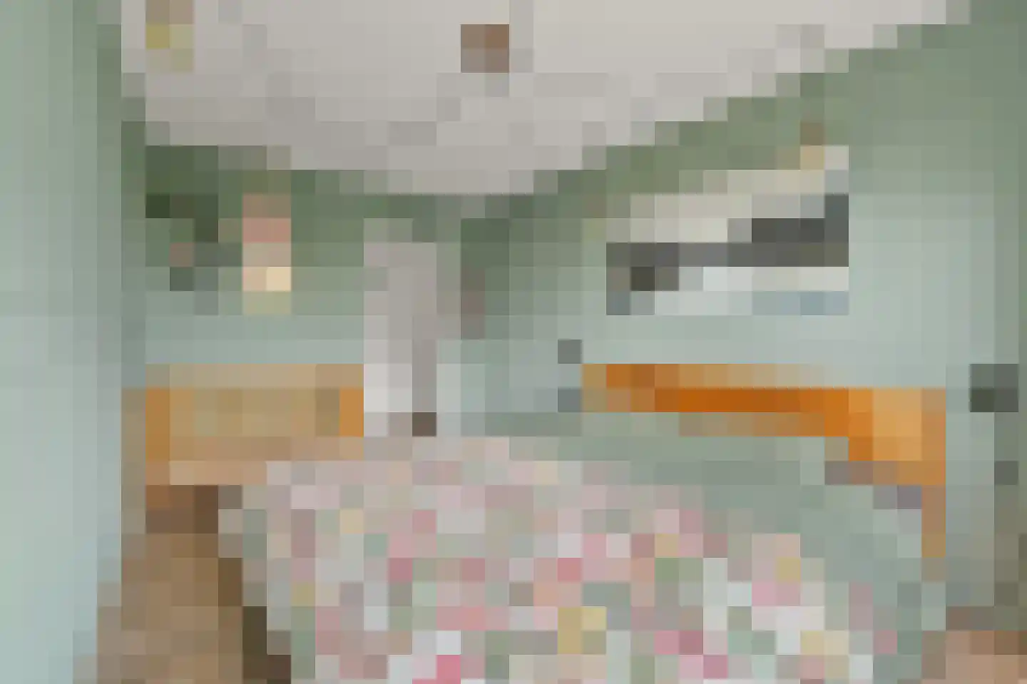 Haverkamp 120 Den Haag thumbnail 23