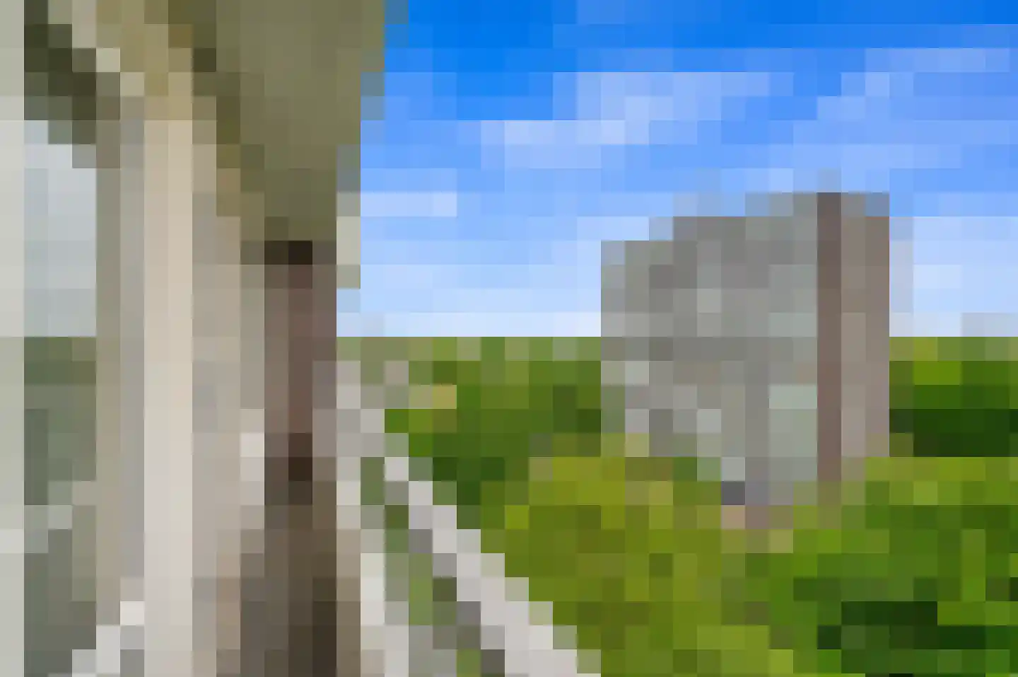 Haverkamp 120 Den Haag thumbnail 31