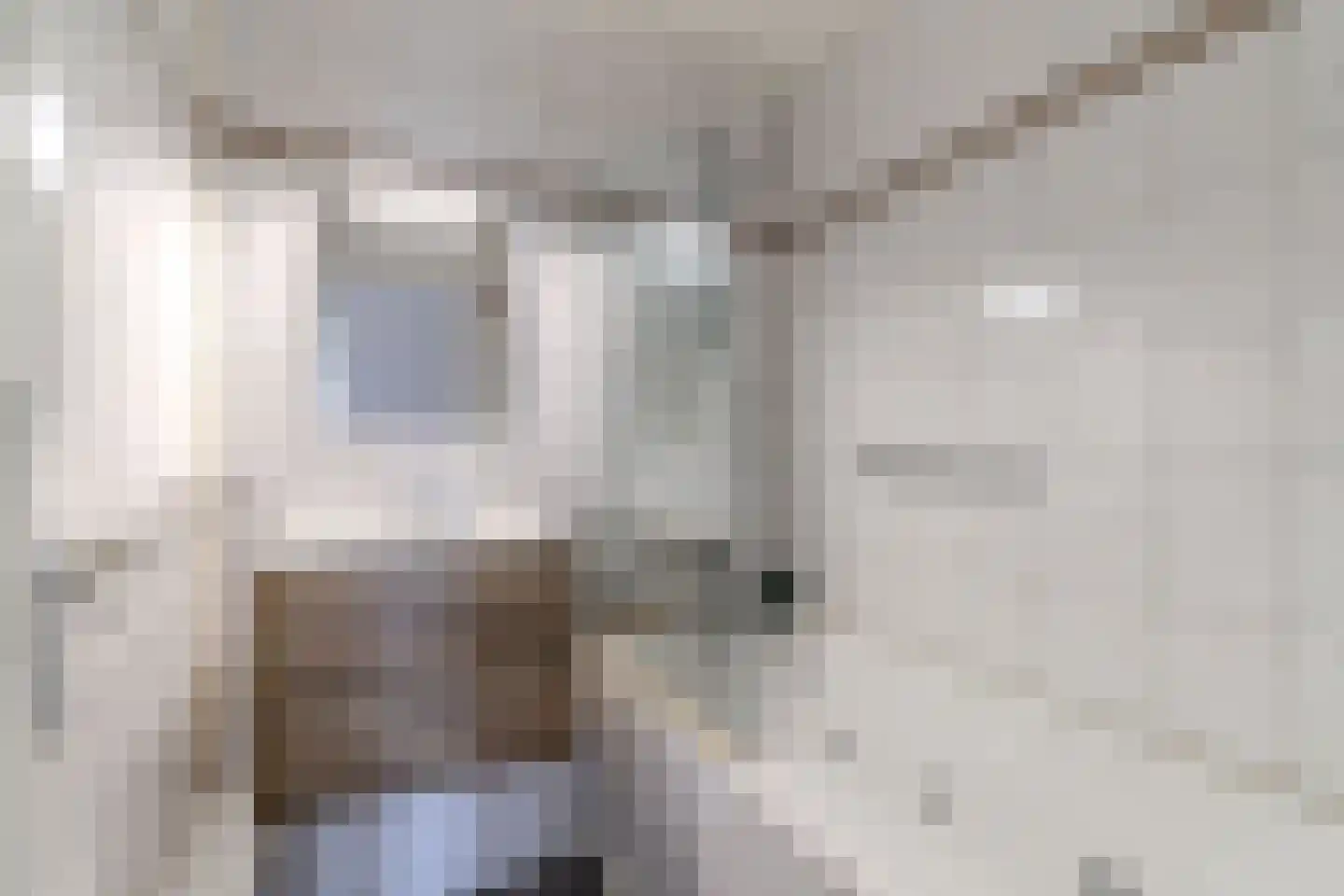 Haverkamp 126 Den Haag thumbnail 20