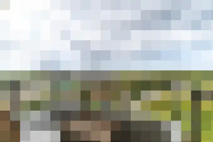 Haverkamp 188 Den Haag thumbnail 12