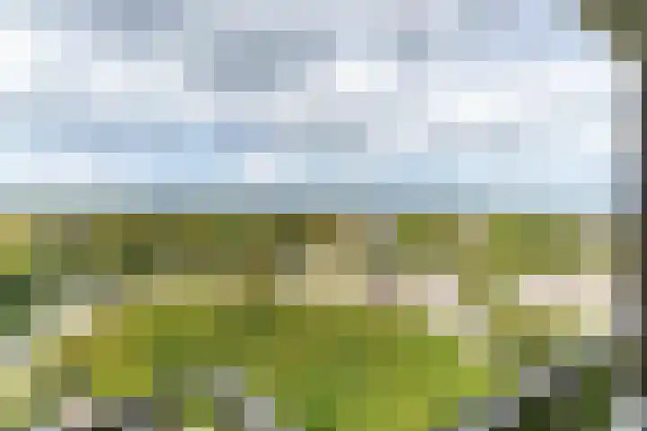 Haverkamp 188 Den Haag thumbnail 13
