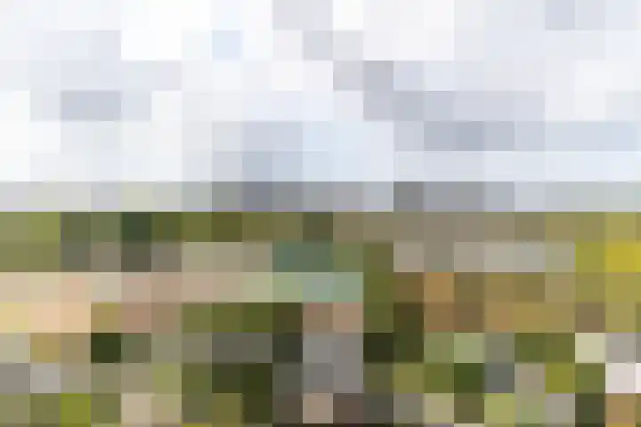 Haverkamp 188 Den Haag thumbnail 14