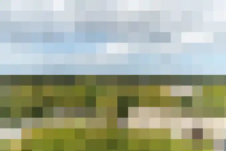 Haverkamp 188 Den Haag thumbnail 16