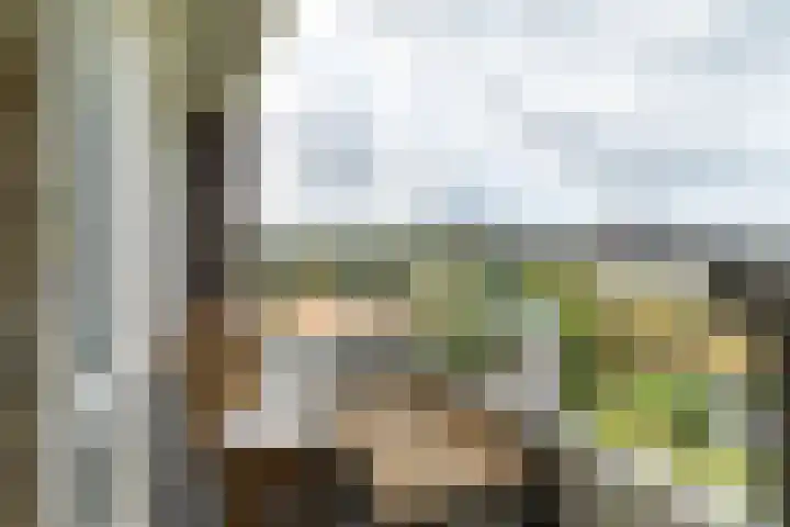 Haverkamp 188 Den Haag thumbnail 17