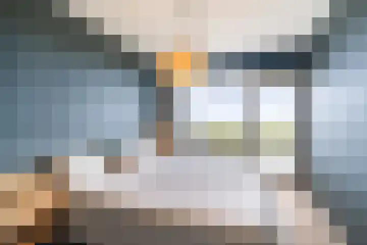 Haverkamp 188 Den Haag thumbnail 19