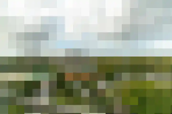 Haverkamp 188 Den Haag thumbnail 27