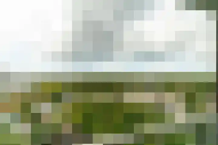 Haverkamp 188 Den Haag thumbnail 28