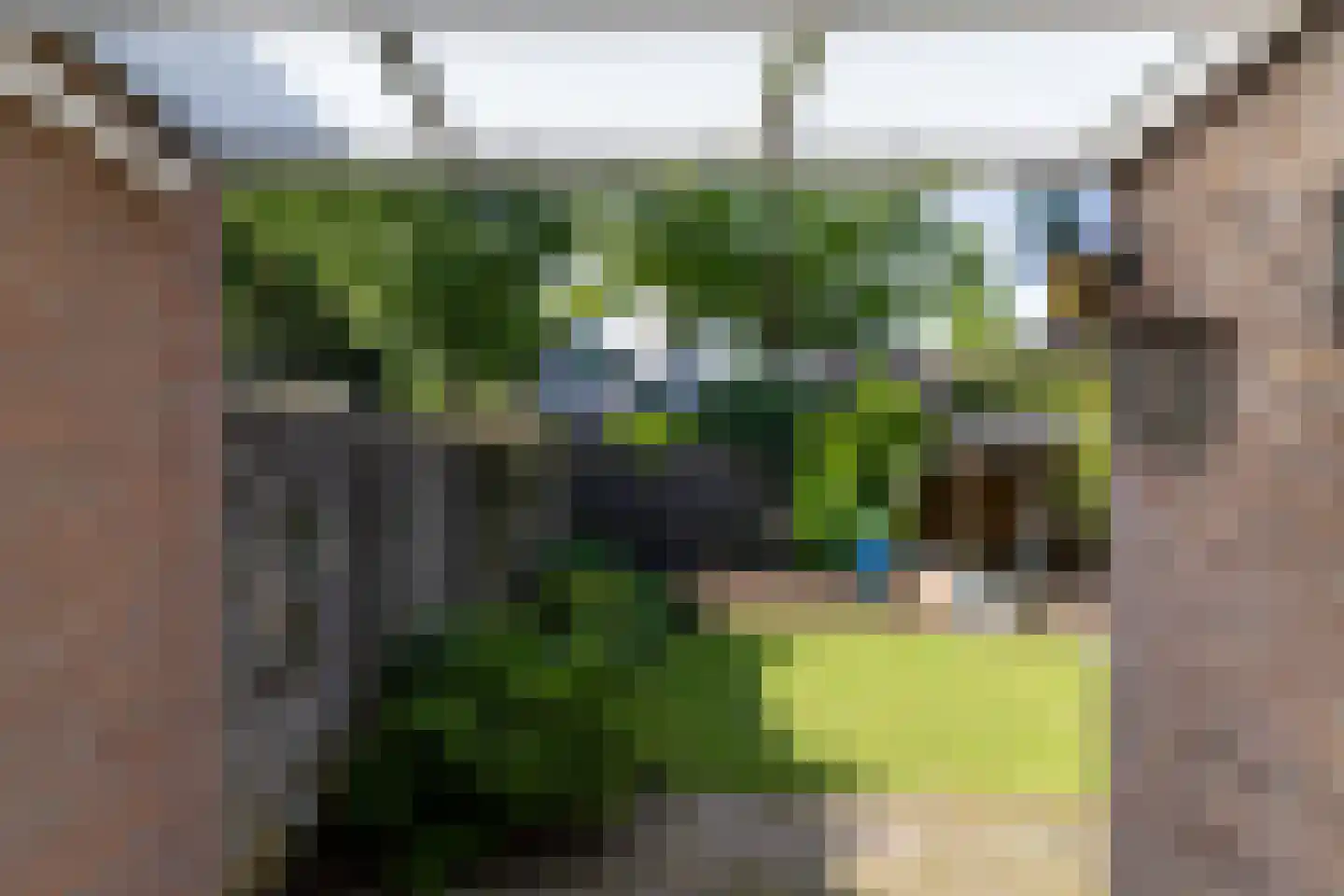 Haverkamp 19 Gendringen thumbnail 31