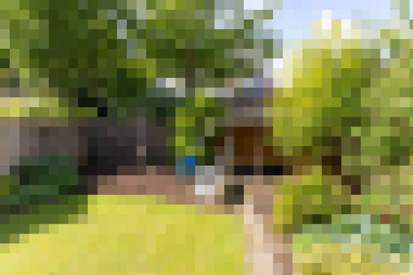 Haverkamp 19 Gendringen thumbnail 32