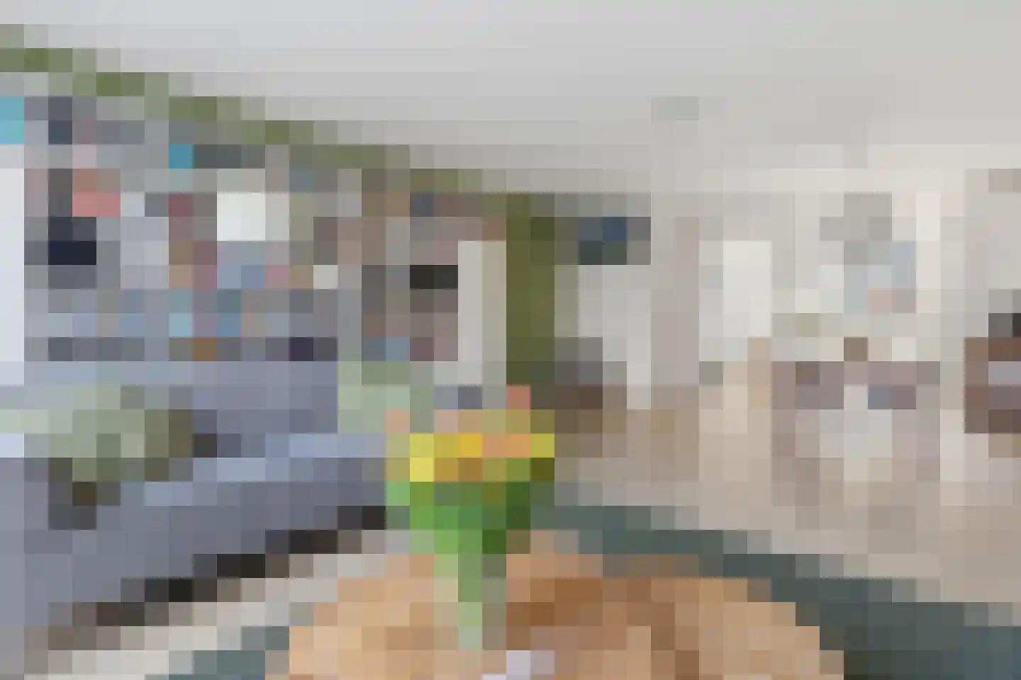 Haverkamp 248 Den Haag thumbnail 11