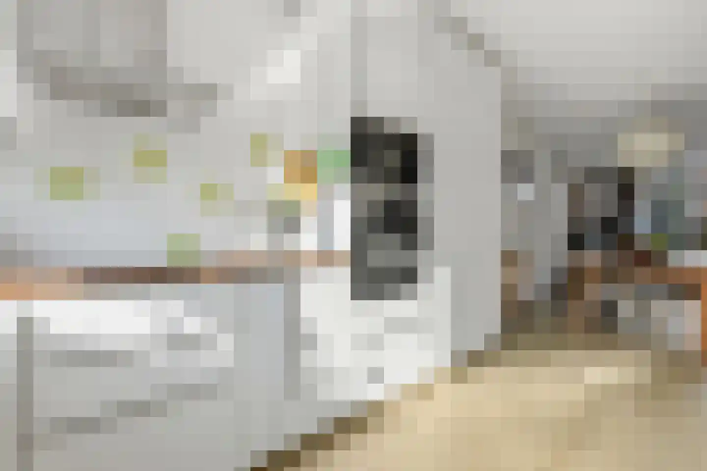 Haverkamp 248 Den Haag thumbnail 15