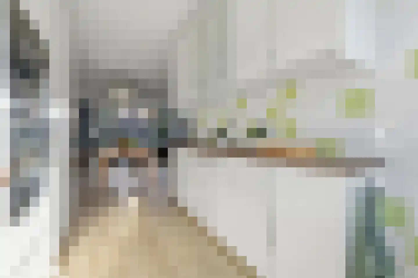Haverkamp 248 Den Haag thumbnail 16