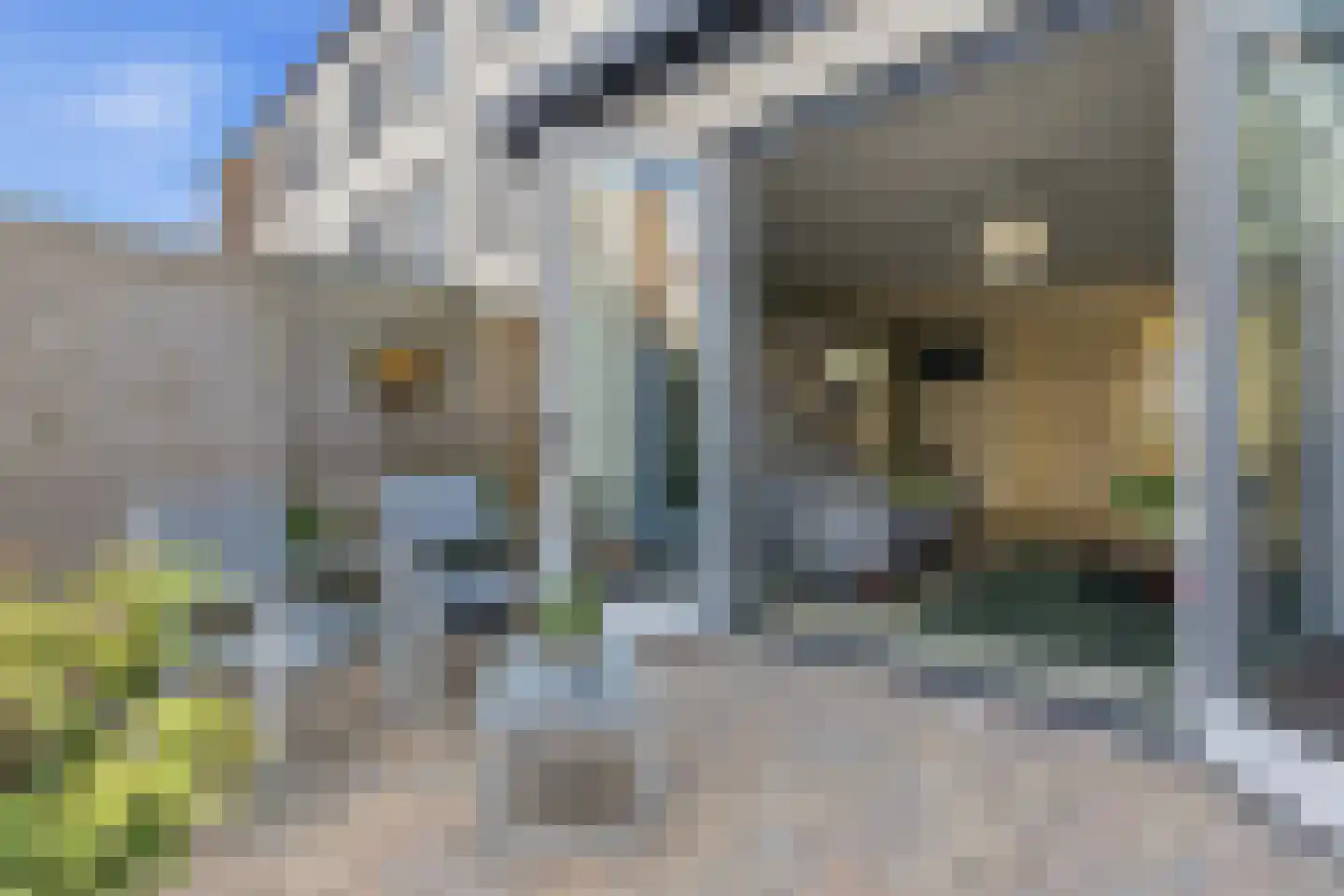 Haverkamp 248 Den Haag thumbnail 22