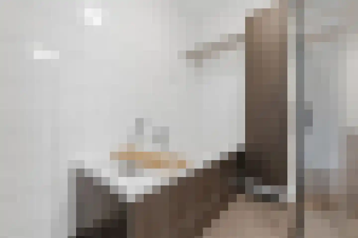 Haverkamp 248 Den Haag thumbnail 37
