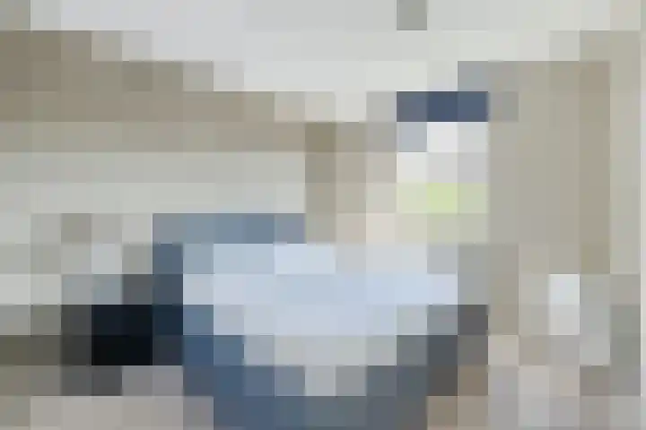 Haverkamp 28 Hoogeveen thumbnail 15