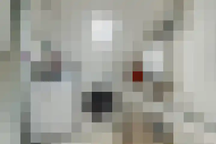 Haverkamp 28 Hoogeveen thumbnail 29