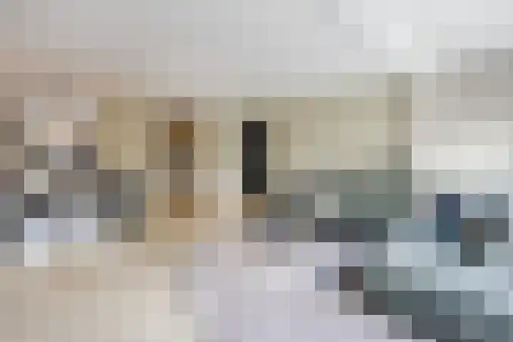 Haverkamp 28 Hoogeveen thumbnail 4