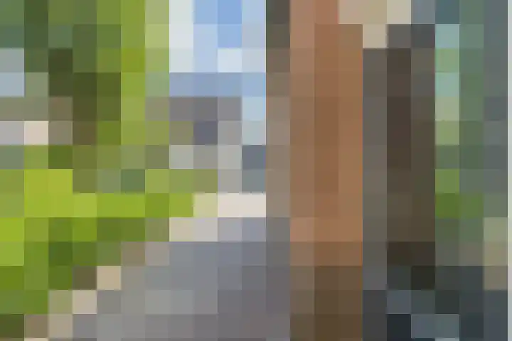 Haverkamp 28 Hoogeveen thumbnail 43