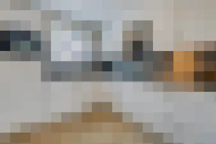 Haverkamp 28 Hoogeveen thumbnail 9