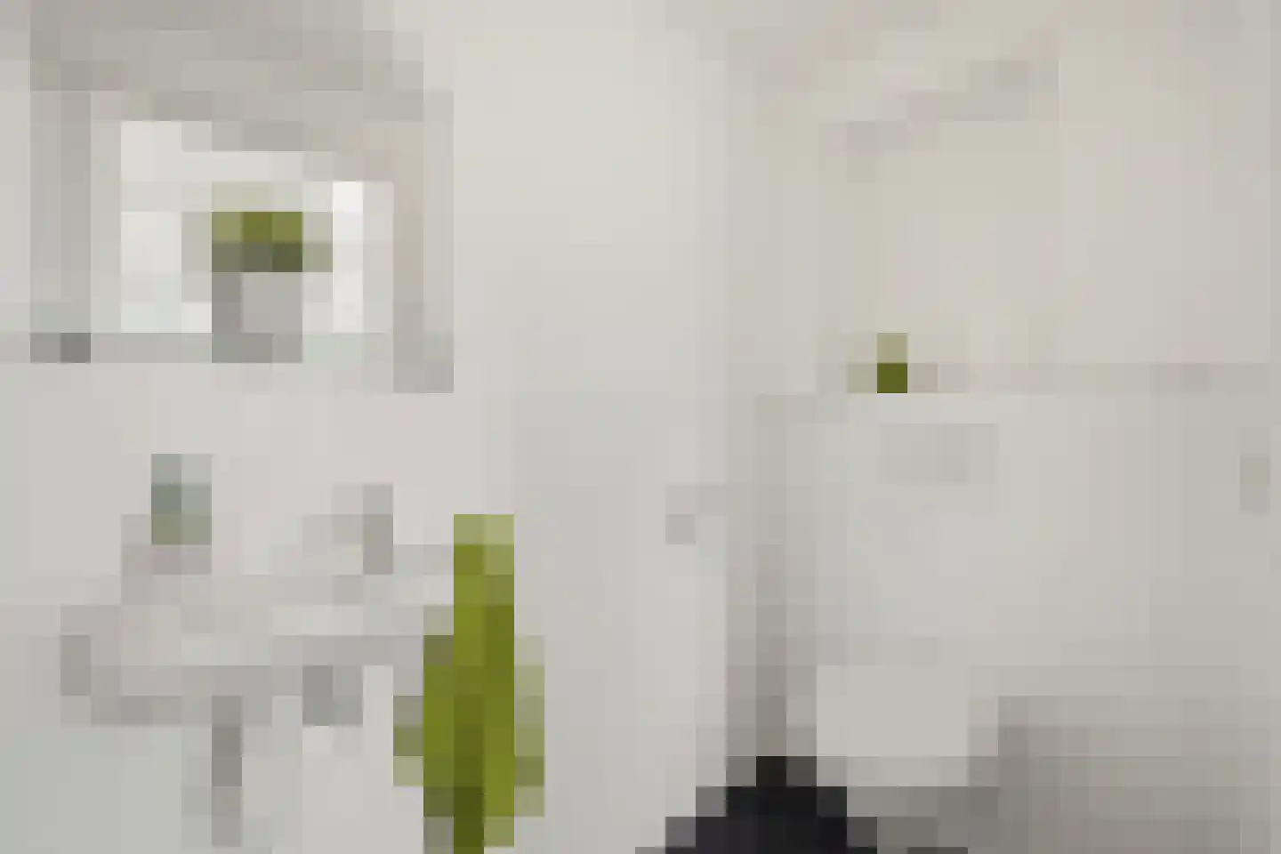Haverkamp 3 Den Haag thumbnail 11