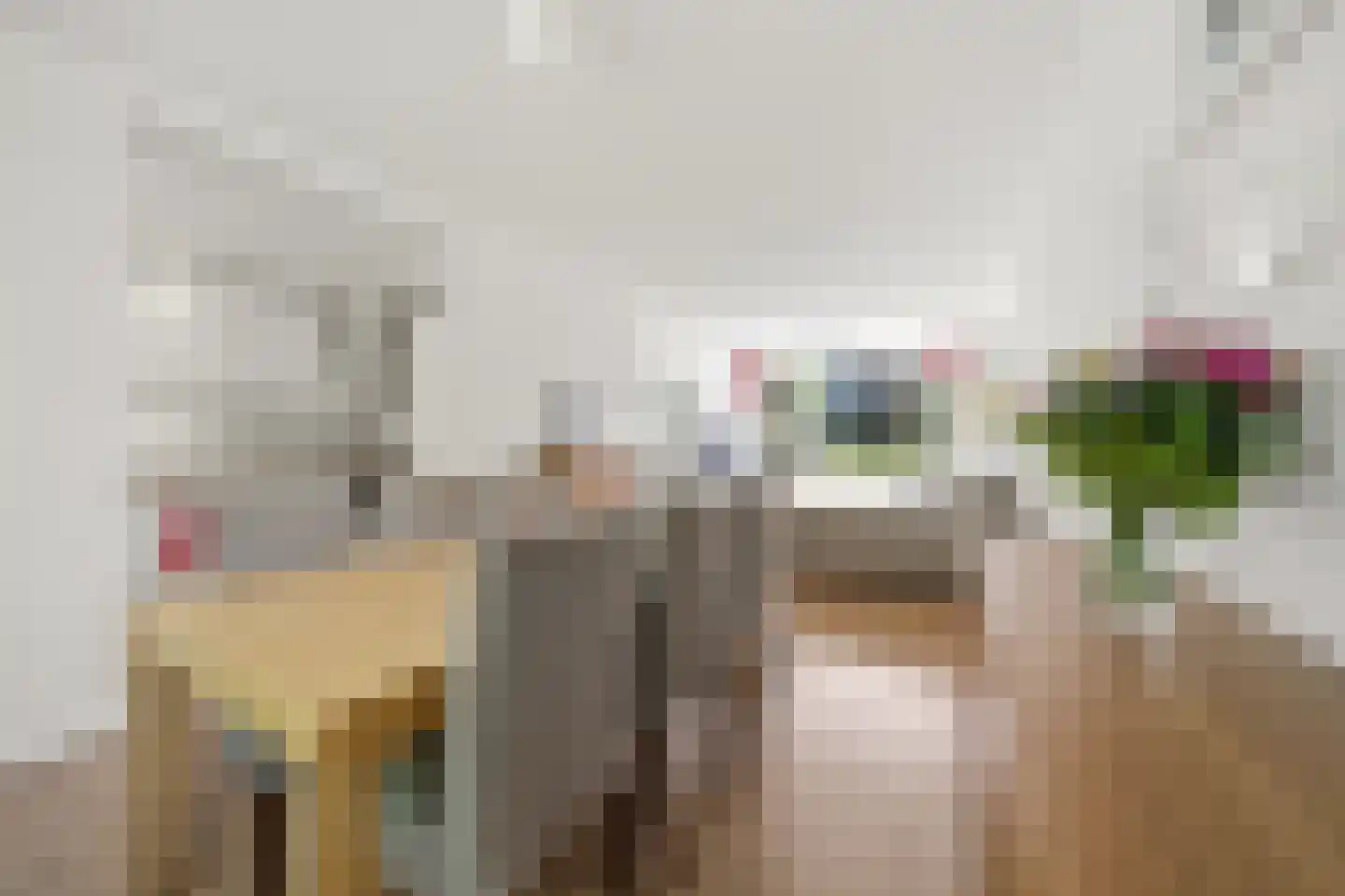 Haverkamp 3 Den Haag thumbnail 14