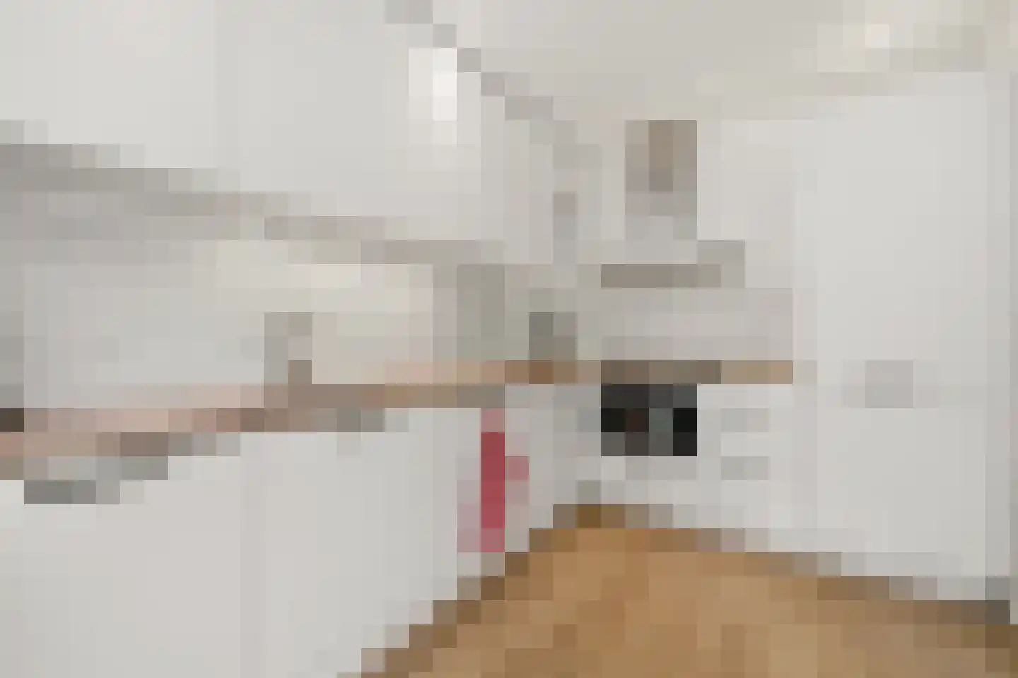Haverkamp 3 Den Haag thumbnail 18
