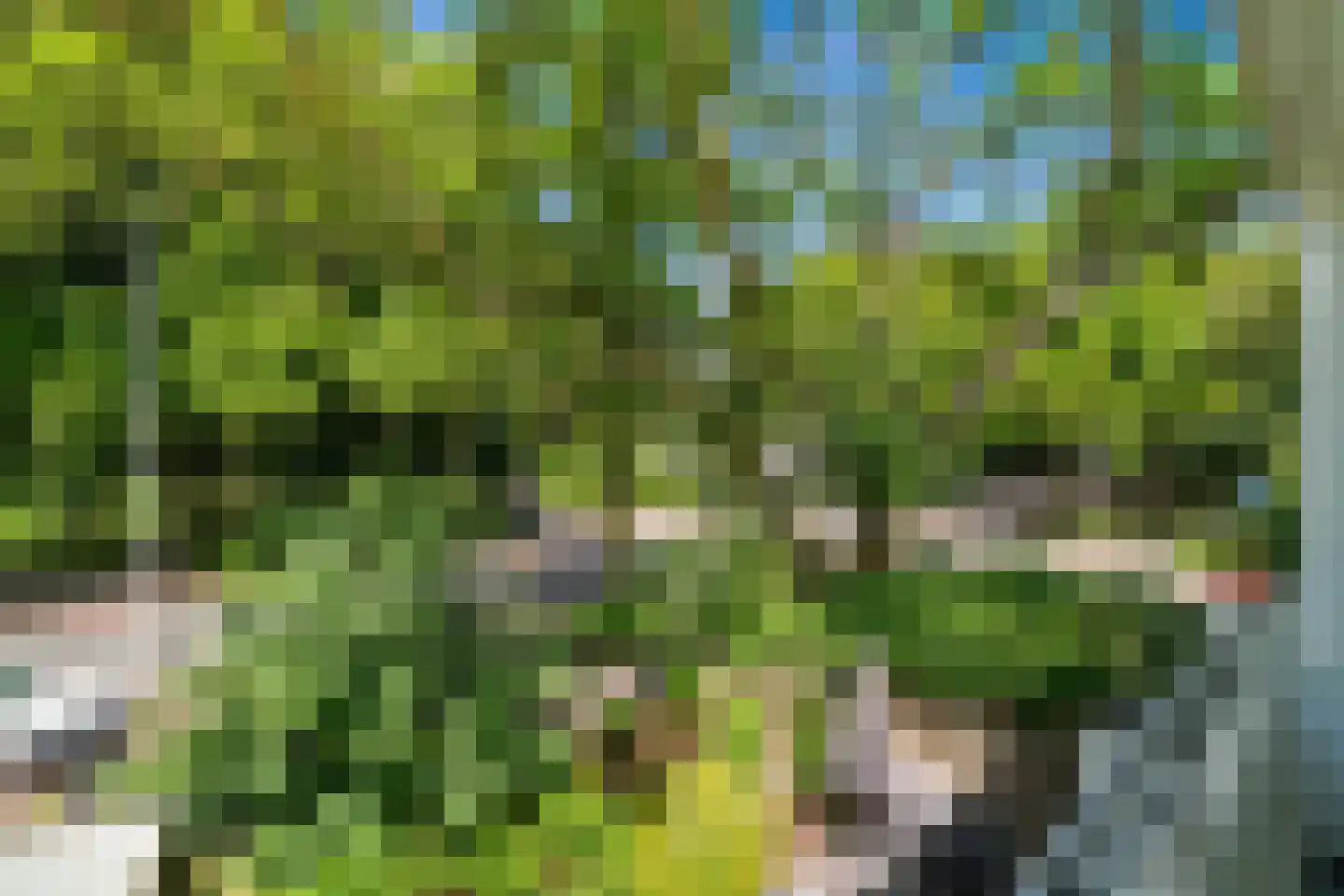 Haverkamp 3 Den Haag thumbnail 30