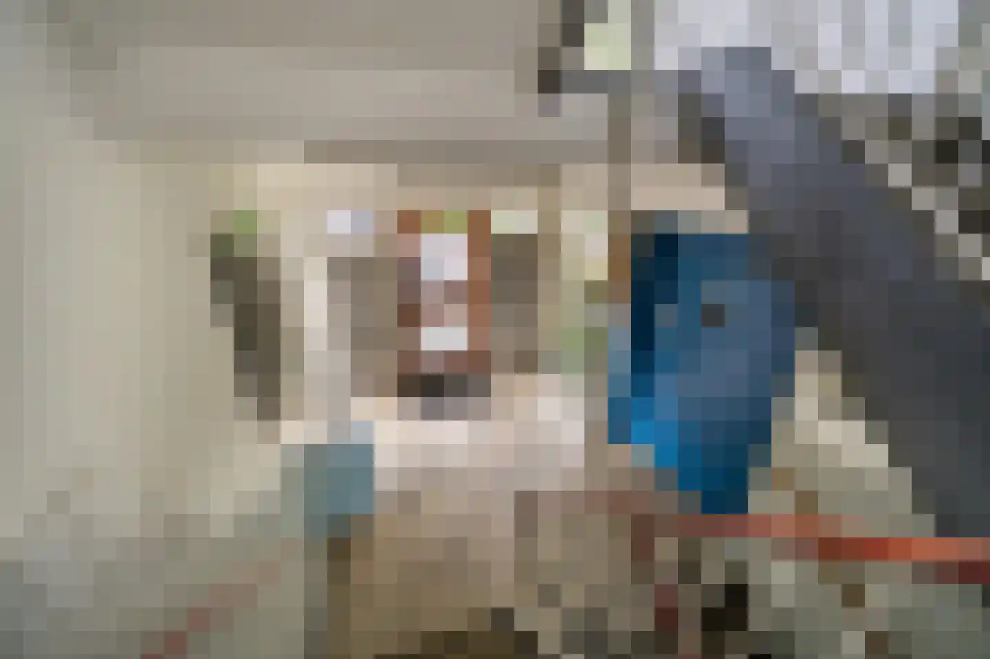 Haverkamp 377 Den Haag thumbnail 10