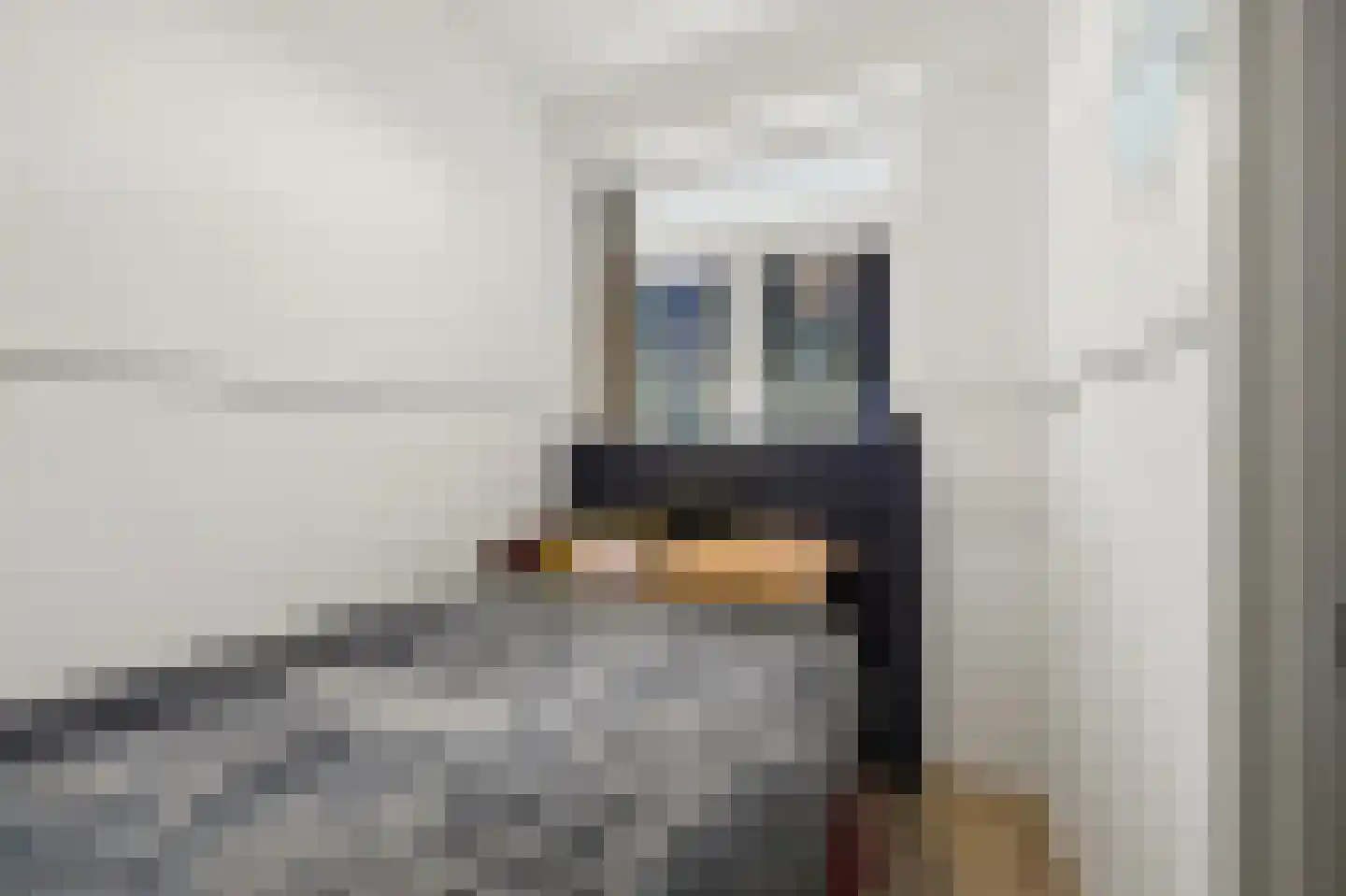 Haverkamp 377 Den Haag thumbnail 23