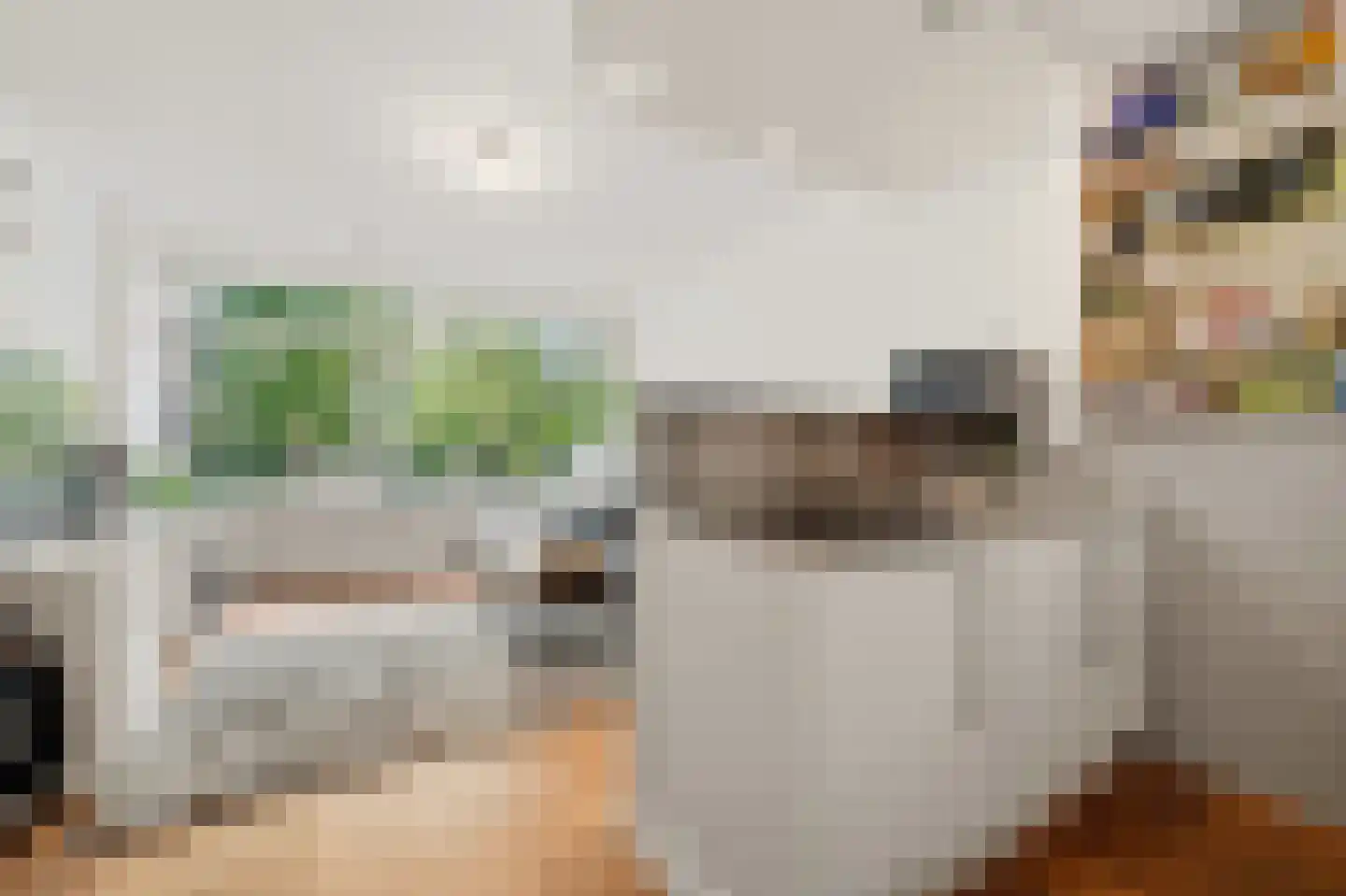 Haverkamp 377 Den Haag thumbnail 4