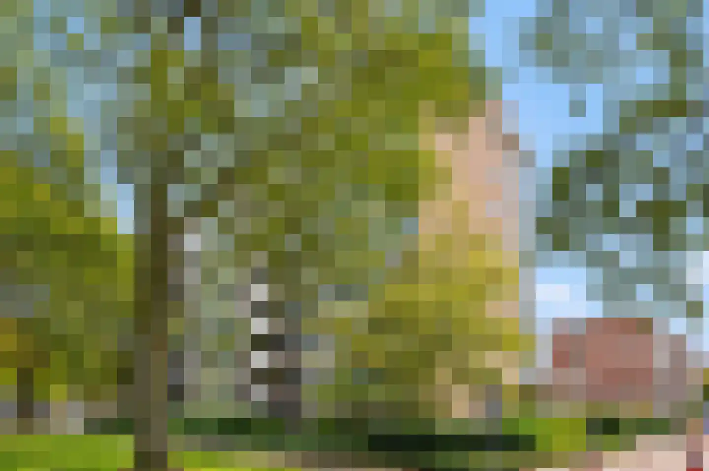 Haverkamp 385 Den Haag thumbnail 5