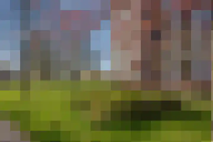 Haverkamp 40 Den Haag thumbnail 22