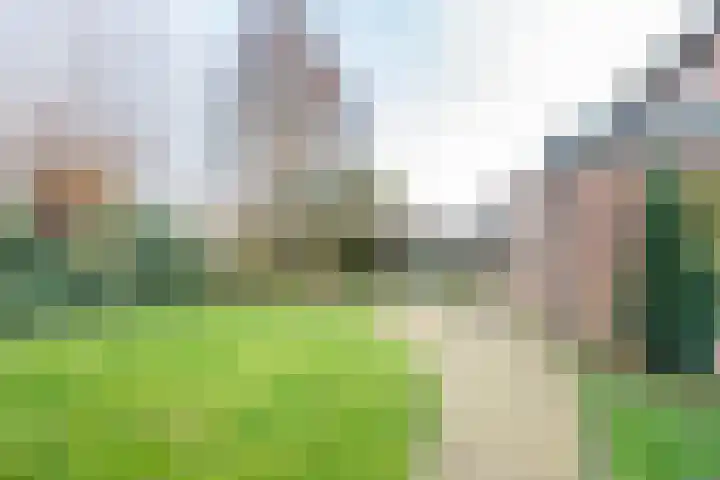 Haverkamp 40 Gendringen thumbnail 32