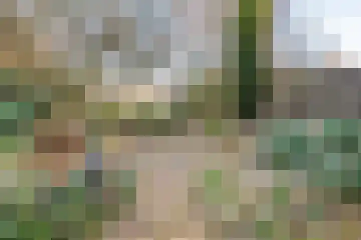 Haverkamp 40 Gendringen thumbnail 33
