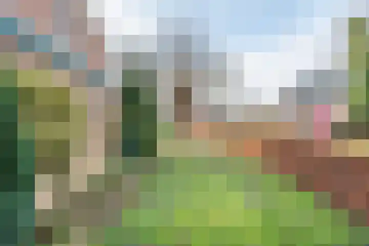 Haverkamp 40 Gendringen thumbnail 38