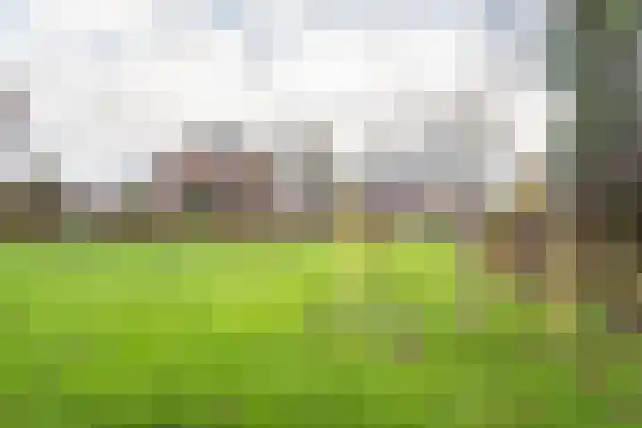 Haverkamp 40 Gendringen thumbnail 39