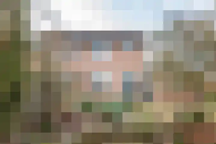 Haverkamp 40 Gendringen thumbnail 4