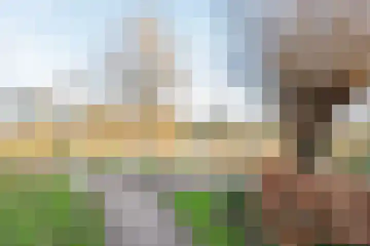 Haverkamp 40 Gendringen thumbnail 40