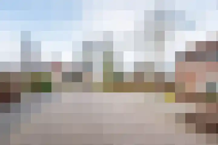 Haverkamp 40 Gendringen thumbnail 41