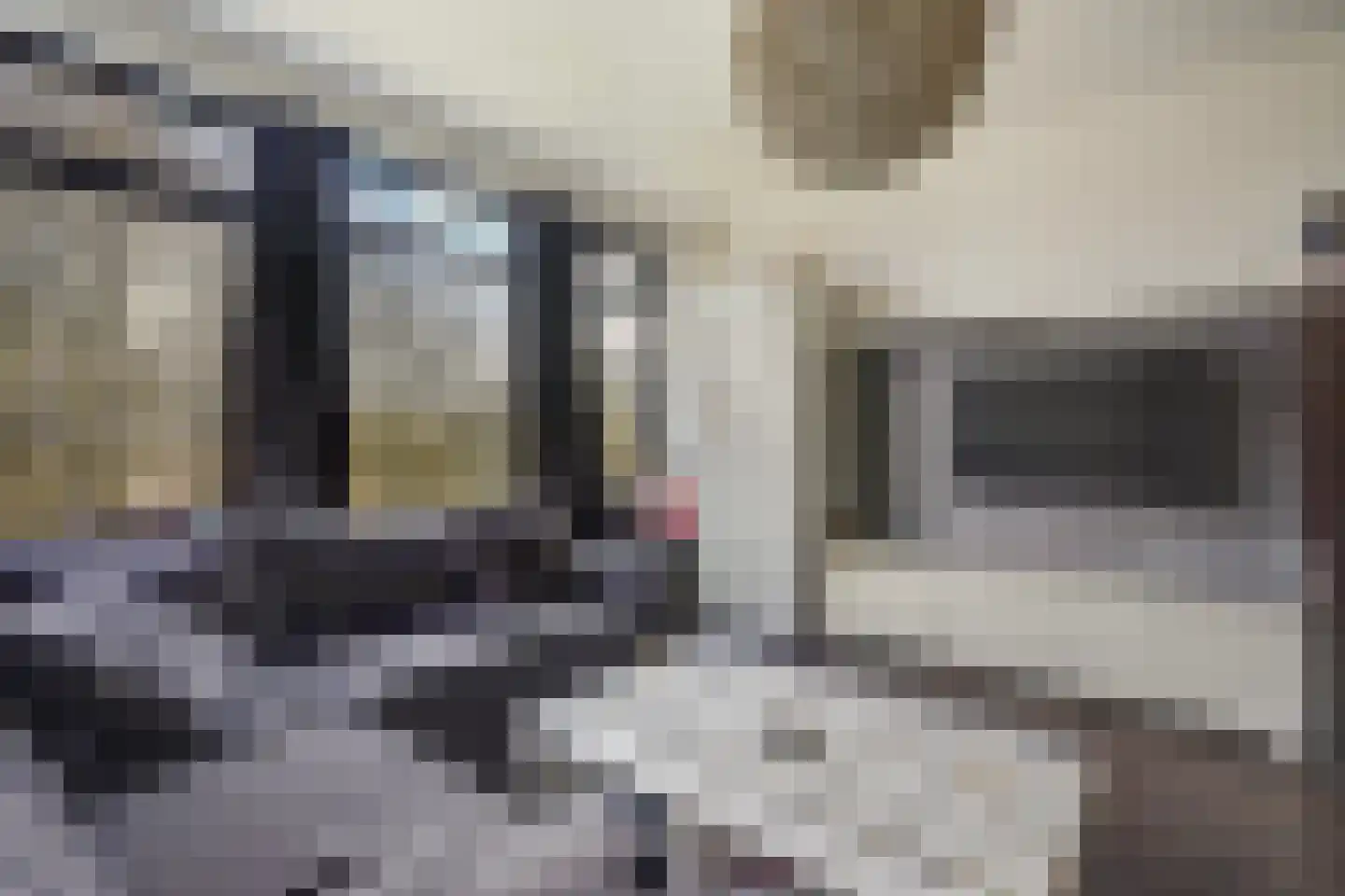 Haverkamp 405 Den Haag thumbnail 16