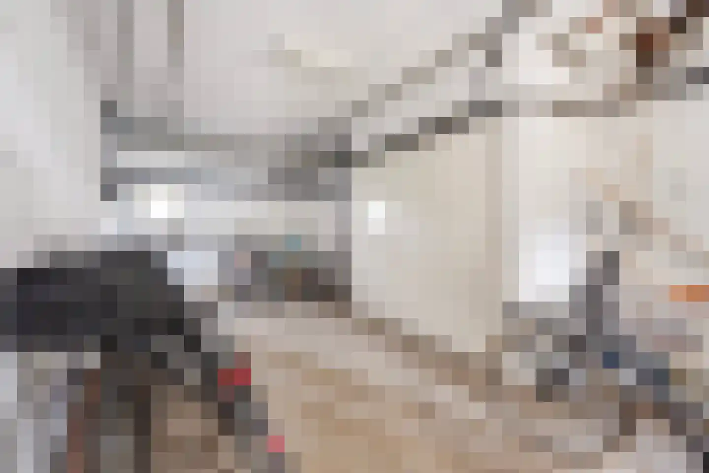 Haverkamp 405 Den Haag thumbnail 18