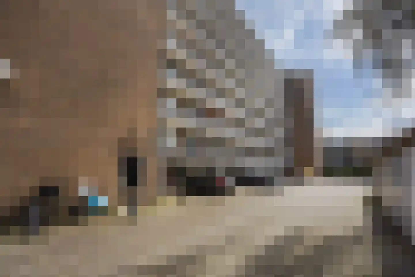 Haverkamp 405 Den Haag thumbnail 22