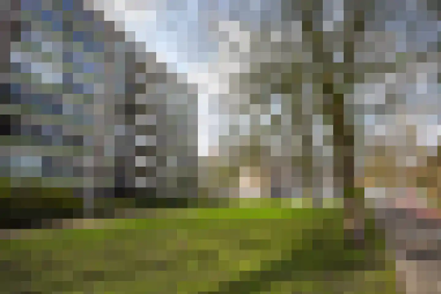 Haverkamp 405 Den Haag thumbnail 26