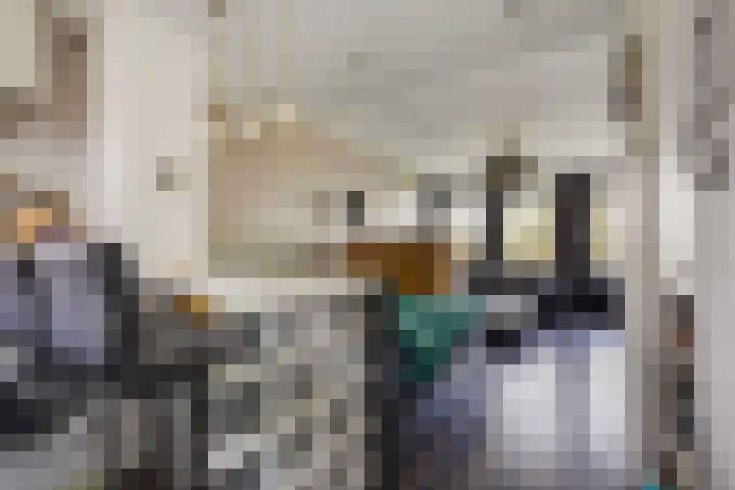 Haverkamp 405 Den Haag thumbnail 7