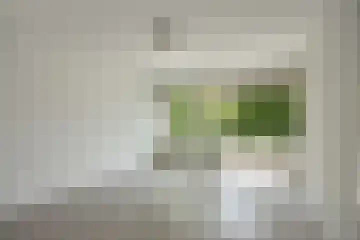 Haverkamp 52 Den Haag thumbnail 10