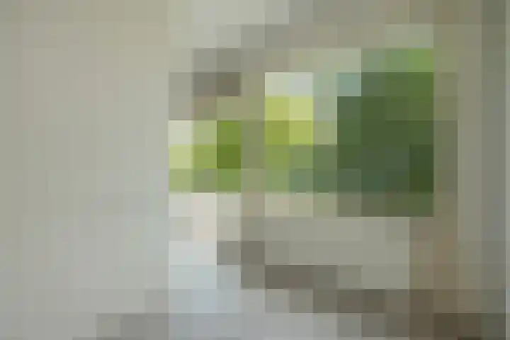 Haverkamp 52 Den Haag thumbnail 13